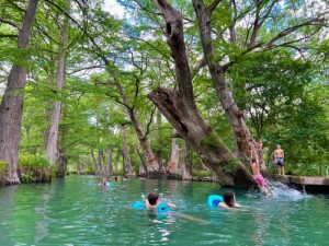 Blue Hole Regional Park in Wimberley Texas
