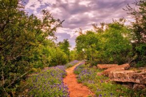 Scenic Hill Country views in Dripping Springs Texas”